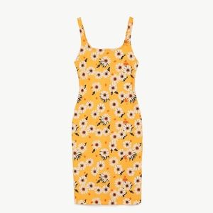 ZARA bodycon midi dress